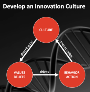 Develop an innovation culture
