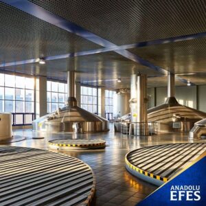 Building a growth portfolio for Anadolu Efes